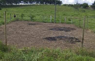 Imagem 4: Excelente Terreno. Pronto para construir!