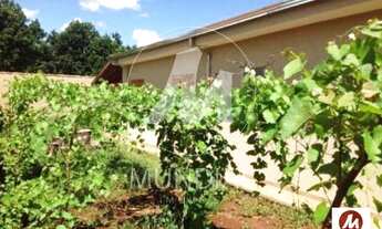 Imagem 6: Casa (térrea na rua) 4 dormitórios/suite