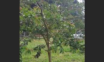 Imagem 7: Casa em Torres Casa com 2 dormitórios