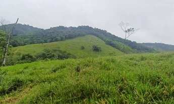 Imagem 4: Ótima oportunidade lindo sítio 5 alqueires