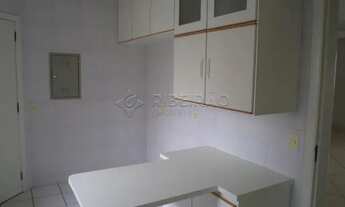 Imagem 6: Apartamento Padrão em Ribeirão Preto