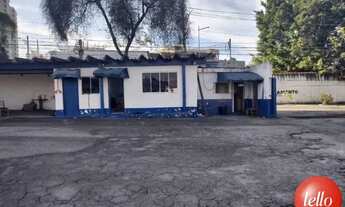 Imagem 2: Santo André - Terreno Padrão - Vila Camilópolis