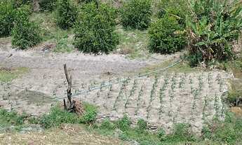 Imagem 6: Vendo sitio Chácara com venda por R$240.000