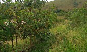 Imagem 2: Lindas granjas em igrejinha