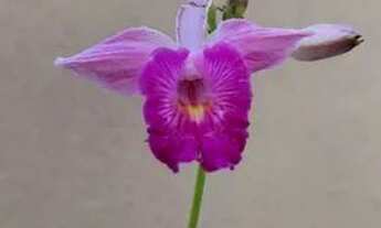 Imagem 2: Casa de condomínio para venda possui 160 metros quadrados com 3 quartos