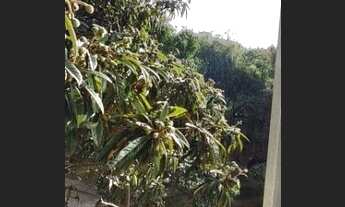 Imagem 5: Apartamento para Venda - 84m², 3 dormitórios, Cristal