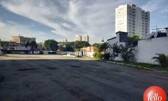 Imagem 7: Santo André - Terreno Padrão - Vila Camilópolis