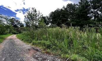 Imagem 2: Fazendinha - LOTE 1.420,00 m², plano e sem árvores grande porte!