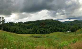 Imagem 5: Sítio no bairro 2a Légua em Caxias do Sul!