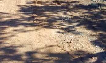 Imagem 2: Fazenda em Lizarda. 20mil dupla aptidão