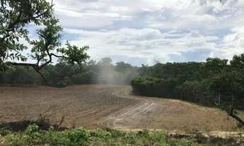 Imagem 3: Sítio 24,7 ha em Unaí/MG - Água Permanente, Casa, Pastos - Aceita Financiamento