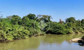 Imagem 4: Mairipotaba - Fazenda de 24 Alqueires codigo: 130578