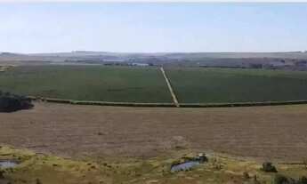 Imagem 5: Fazenda à venda, 10 quartos, 1 suíte, Área Rural de Unaí - Unaí/MG