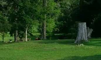 Imagem 4: Sítio em Rua Estrada Velha - Salto Eletra - São Francisco de Paula/RS