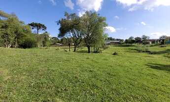 Imagem 2: CAXIAS DO SUL - Terreno Padrão - ANA RECH