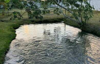 Imagem 4: Sítio à venda em Entre Rios, Porto de Sauípe, com 5 quartos, 40000m²