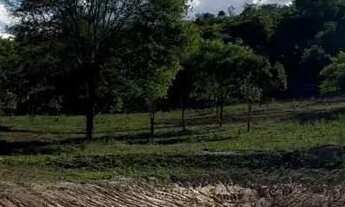 Imagem 5: FAZENDA EM IBIQUERA - 910 TAREFAS