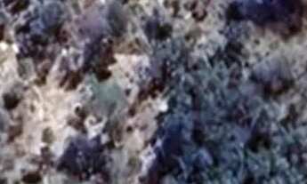 Imagem 7: LOTE SERRA DA MESA EM COLINAS DO SUL G.O