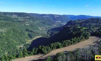 Imagem 4: Sítio / Chácara para Venda em Nova Petrópolis, Pinhal Alto