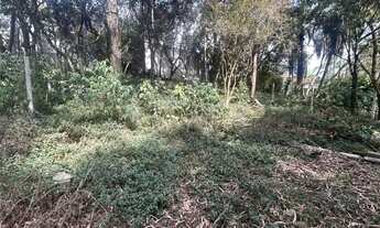 Imagem 6: Terreno à venda, 520 m² por R$ 320.000,00 - Nova Fazendinha - Carapicuíba/SP