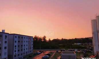 Imagem 1: Apartamento 1 dormitórios à venda Hípica Porto Alegre/RS