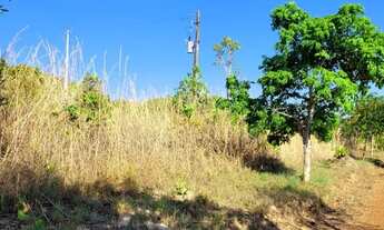 Imagem 7: Chácara à venda - 55 hectares (11 alqueires) - Palmas/TO