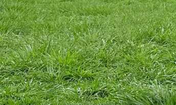 Imagem: Terreno em condomínio de 551,28 m² à