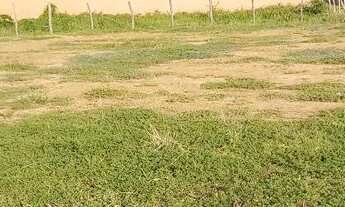 Imagem: Vendo terrenos na praia da caueira a 250