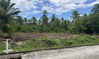 Imagem 6: Lote 1.000m2 -Cond. Dolce Vita Praia, Morro de São Paulo! OPORTUNIDADE!