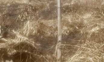 Imagem 4: Lotes com escritura