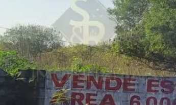 Imagem 3: Terreno Misto para Locação no Bairro Chácaras Pedro Corrêa de Carvalho, em Ribeirão Preto