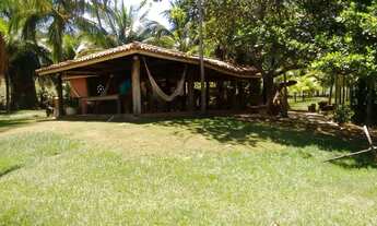 Imagem: Fazenda para Venda em Andaraí, Centro