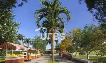 Imagem 4: Lote à venda no Jardins Zurique