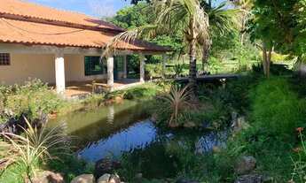 Imagem 7: Fazenda a venda, em Jaraguá - Goiás!!!