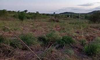 Imagem 6: Vende-se 4 tarefas de terra