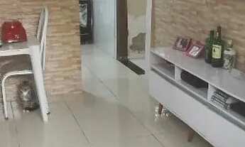 Imagem 2: Casa em São Marcos Quadra 8