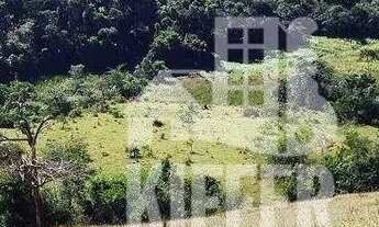 Imagem 3: Fazenda com 3 quartos à venda, 4590000 m² por R$ 9.000.000 - Jardim Valenca - Valença/RJ