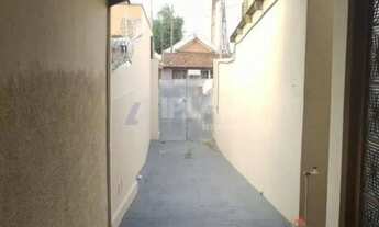 Imagem 3: Locação de Casas / Padrão na cidade de São Carlos