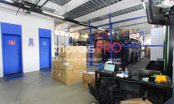 Imagem 7: Galpão na Henrique Schauman com 941 m² e 4 vagas