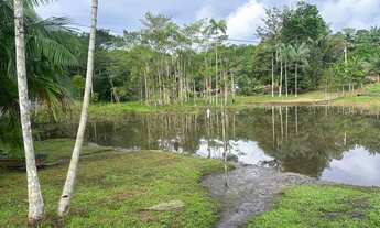 Imagem 4: Vendo sítio Chácara com venda por R$300.000