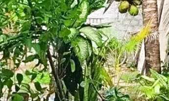 Imagem 7: Casa à venda em rua pública, SANTOS DUMONT, Aracaju, SE