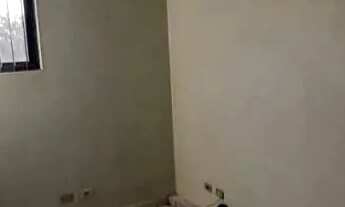 Imagem 4: COMERCIAL - PLANALTO PAULISTA - SP