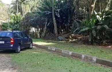 Imagem 6: Lote em Rua Tiradentes - Caraguatá - Mairiporã/SP