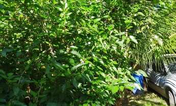 Imagem 6: Casa, para venda com 300 m² com 3 quartos, a 2 minutos da praia em Nova Almeida - Serra