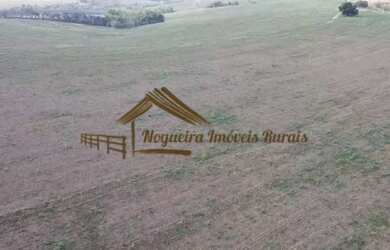 Imagem 4: Excelente área com 13,74 alqueires na Região de Sorocaba