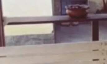 Imagem 4: Alugo área externa para eventos ou espaço para temporada Carnaval