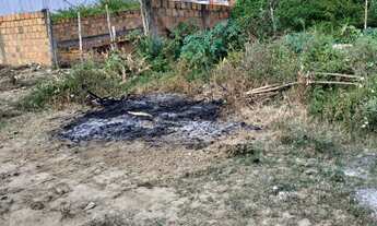 Imagem 2: Terreno Parque Sevilha