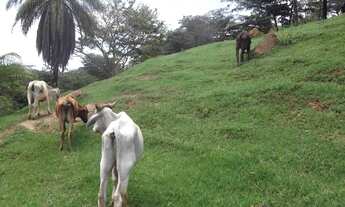 Imagem: Lindo terreno rural de 41 hectares na MG10