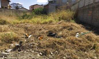 Imagem 3: LOTE 500 MTS TRÊS BARRAS / CONTAGEM-MG