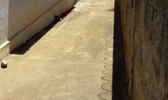 Imagem 7: 88 casa em livieiro a venda